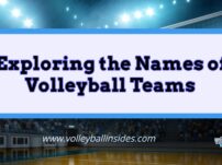 Exploring the Names of Volleyball Teams: Creativity and Identity in the Sport